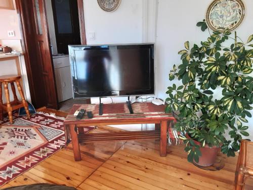 Beach House Apartment - image 8