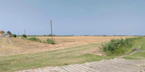 Agriturismo La Fraterna - image 6