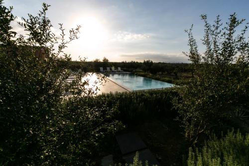 Corte Olea Resort - image 8