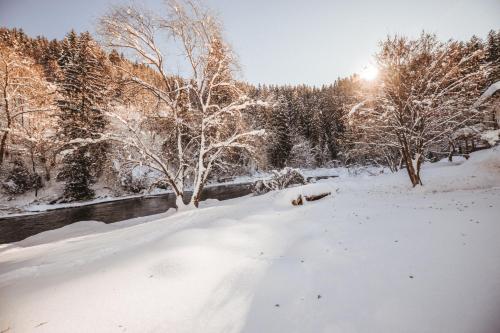 Smileys Fluss Chalet