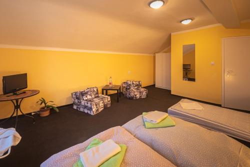 1 queen bed, 1 twin bed, 2 sofa beds