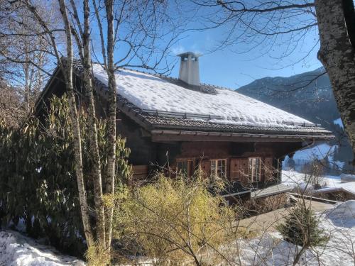 Les Jumelles - Chalet - Gstaad