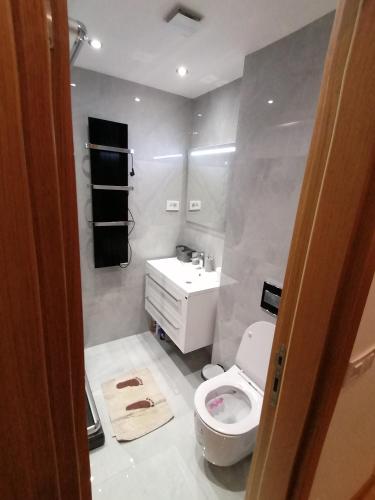 apartman 25 pino silvestre - image 4