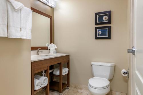 Comfort Inn and Suites Tifton - image 5