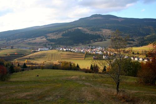 Penzion u Hanky - image 5