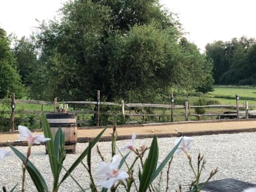 B & B De Romeinse Katzei - image 7