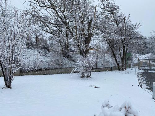 B&B Oasi Vetoio - image 14