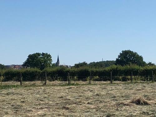 B & B De Romeinse Katzei - image 11