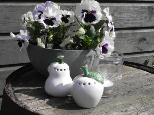 Appels en Peren Bed and Breakfast – Breezand, PA