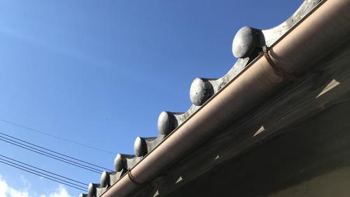 Thank you Hippopotamus Hostel サンキューヒポポタマスホステル
