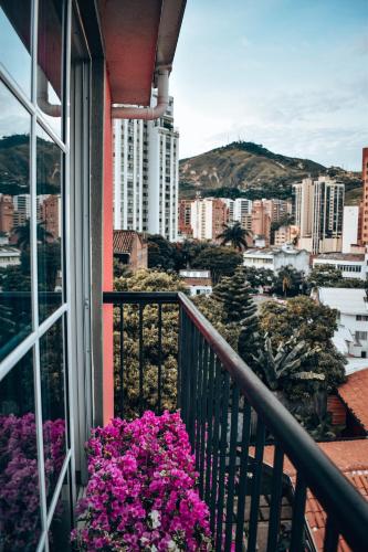 景觀, Rossa Palma in 卡利市中心