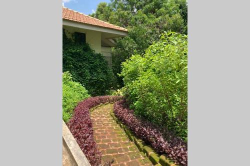 The Homecoming (Entire Homestay)