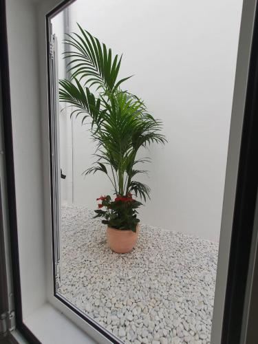 Apartamento Agaete Pueblo