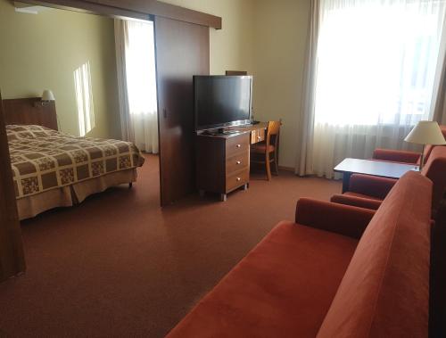 1 king bed, 1 sofa bed