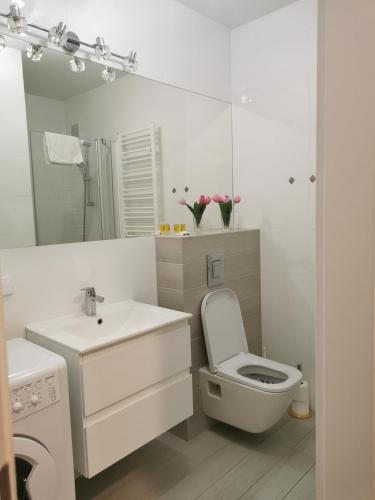 APT Nadmorskie - Feniks - image 6