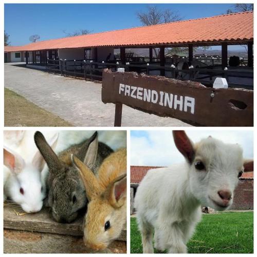 Flat Condomínio Monte Castelo - Gravatá PE