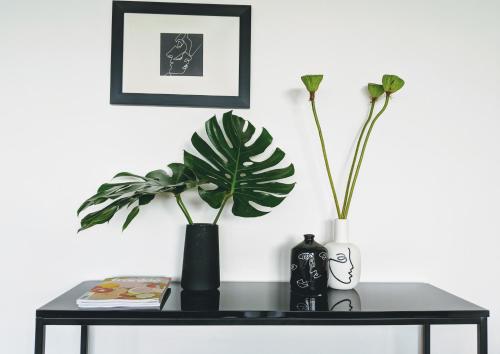 301 The Botanical