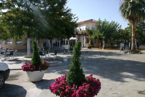 Hotel Mitra - image 7