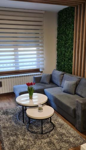 Fenix Lux Apartman (Spa centar)