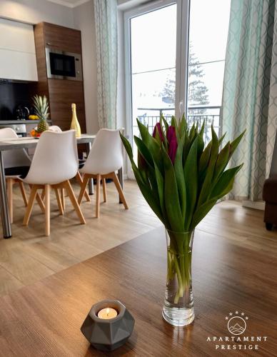 Apartament Prestige Szklarska Poręba, Szklarska Poręba (foto 9)