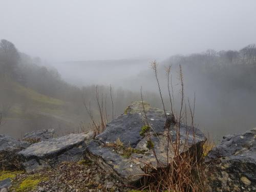 茵丝弗丽住宿加早餐旅馆