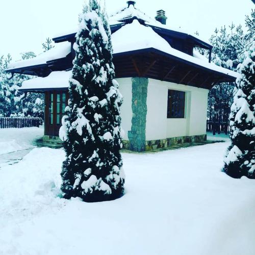 Vila Panić Zlatibor - image 4