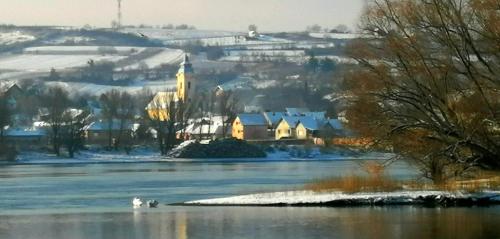 Captain's house on the Danube river - image 9