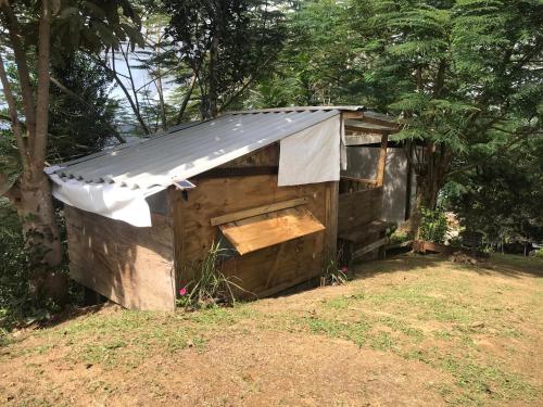 Camping para dos - a escoger segun disponibilidad de caseta o cabana in Caguas