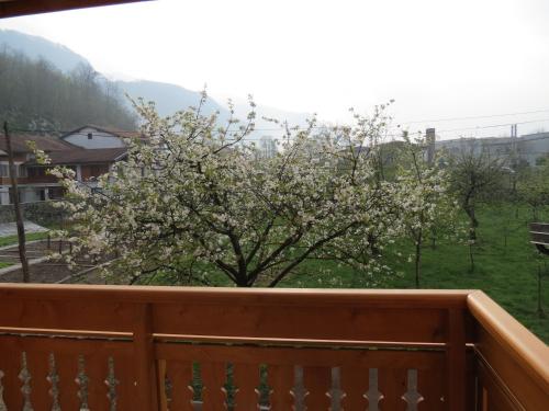 Apartments Masera - image 11