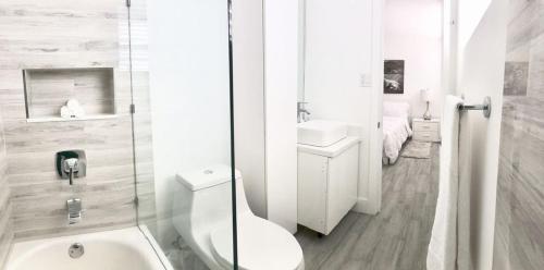Modern & New