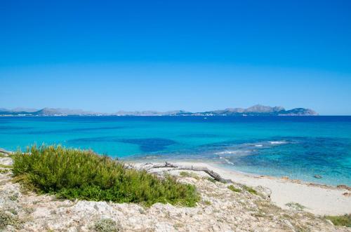 Llaut Boutique Hotel - image 9