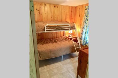 Cabin #3 waterview w/stairs to waterfront Lake Livingston Texas - image 6