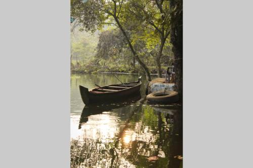 By the river, Bhoothathankettu