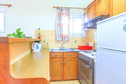Zouli Athina - image 13