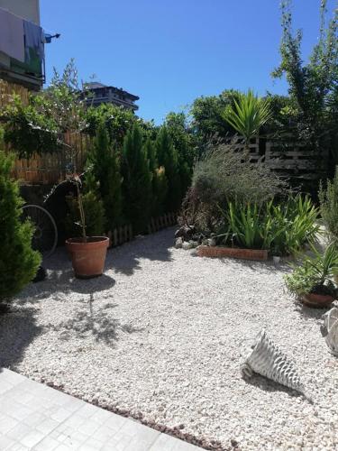 B & B Eliana, Florencie (fotografie 11)