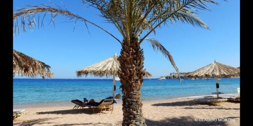 Sharm Dreams Vacation Club - Aqua Park
