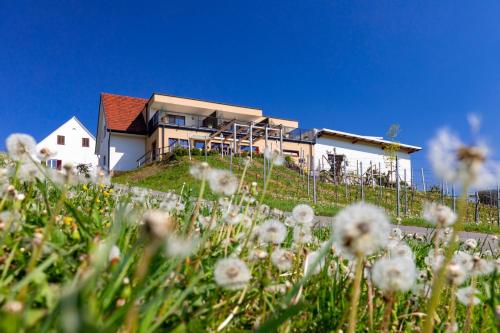 Weingut und Gästezimmer Perner in Ehrenhausen, Österreich