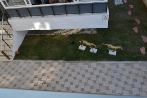 Family Apart-Hotel 2022- 3, Antalya (fotografie 6)