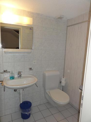Hotel-Restaurant Stechelberg Bed & Breakfast - image 12