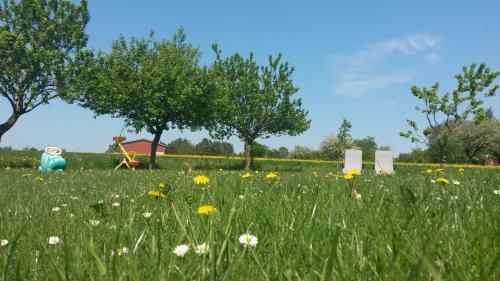 Panorama Ferienwohnungen Thiem - image 10