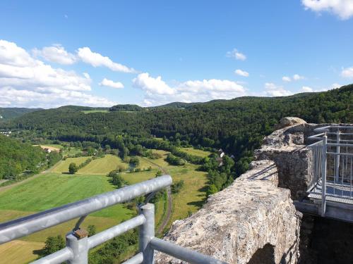 Panorama Ferienwohnungen Thiem - image 12
