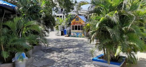 Alojamiento San Martín – San Andres Island, NM
