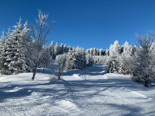 Aktiv-Ferienwohnung "Snow & Bike"- Zentral zwischen Winterberg und Willingen in Winterberg, Deutschland