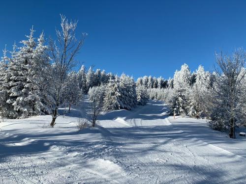 Aktiv-Ferienwohnung "Snow & Bike"- Zentral zwischen Winterberg und Willingen