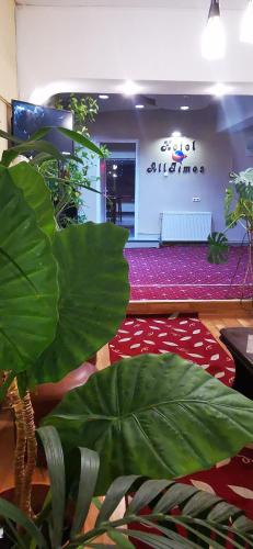 HOTEL ALL TIMES in 蒂米蘇爾德約斯