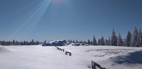 Pension Berghof