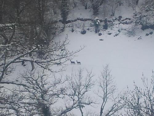 Faciliteiten, Venta la Aurora in Ponga