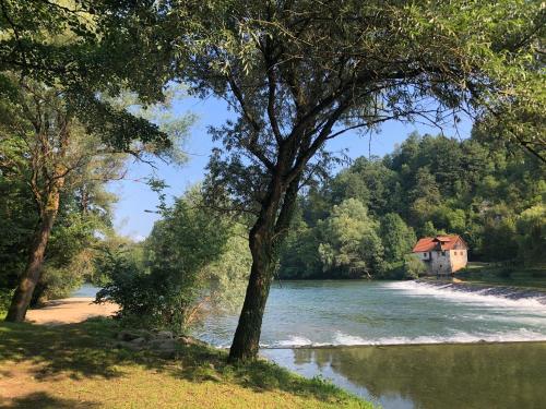 Omgivelser, Kamp Jankovic in Dragatus