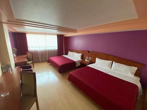HOTEL MARIA RICO - Mexico City