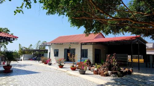 Homestay Thảo Nguyên Xanh (Homestay Thao Nguyen Xanh) in Ham Thuan Nam